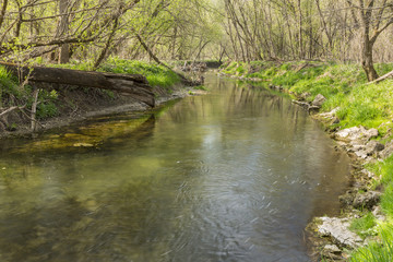 Naklejka na ściany i meble Canfield Creek In Spring