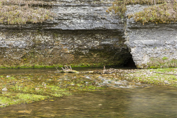 Cave In Spring