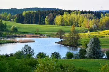 Printed roller blinds Pistache Spring landscape with lake