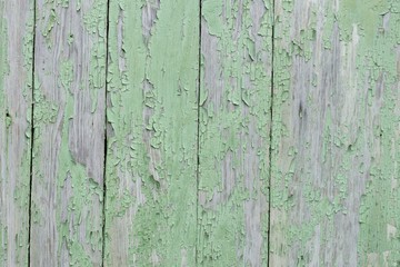 Old shabby wooden wall painted green background