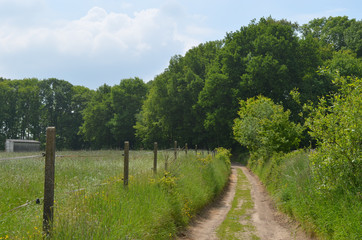 Fototapeta na wymiar path in countryside landscape