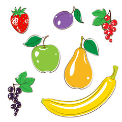 Fruit Set
