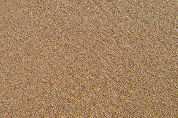 Fototapeta na wymiar Close up of gold sand grains on a beach, pattern.