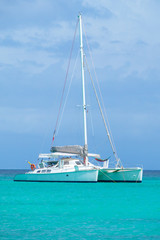Fototapeta premium Beautiful view of a catamaran yacht anchored in a Caribbean bay with French flag