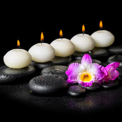 Fototapeta na wymiar spa concept of orchid flower and row white candles on black zen
