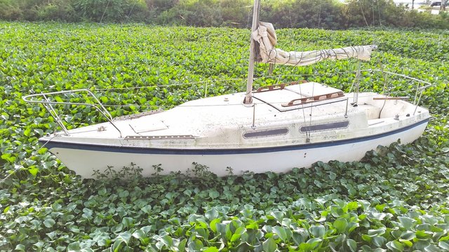 Velero encayado