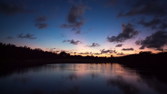 Sunset over the lake with birds at a tropical resort