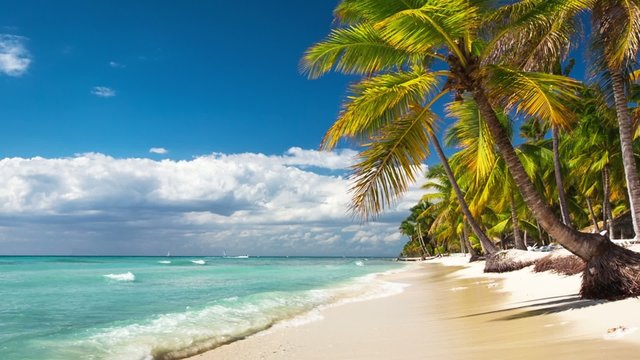  Lonely exotic beach at a tropical island