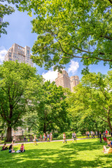 Manhattan buildings framed by Central Park trees