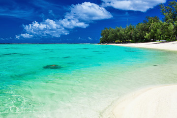 The best swimming beach with palm trees on tropical Cook Islands