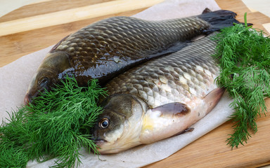 Two crucian