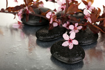 Spa stones with spring flowers on table close up