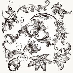 Collection of vector swirl elements for design