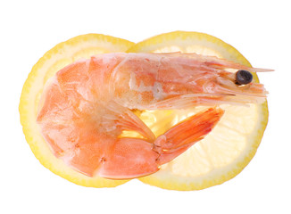 Boiled shrimp with lemon isolated on white