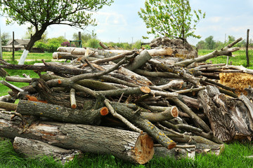 Pile of firewood, outdoors