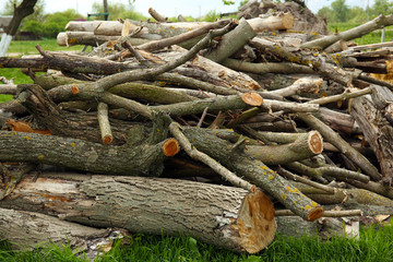 Pile of firewood, outdoors