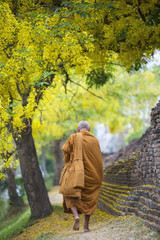 Hike Thai Monk at the Chiang Mai Walled City in  THAILAND