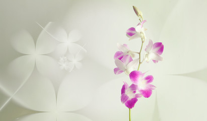 Purple orchid flowers on floral background