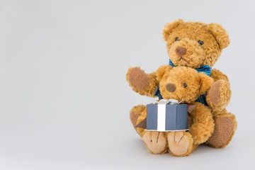 Stuffed toy of parent and child
