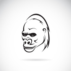 Vector image of an gorilla head on white background