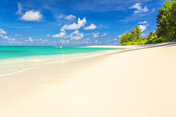 Fototapeta na wymiar Perfect tropical beach with white sand, and crystal clear sea