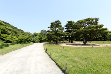 日本庭園