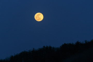 Fototapeta na wymiar 満月の夜