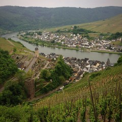 zell