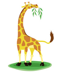 Giraffe.
