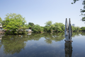 石神井公園