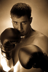 boxer