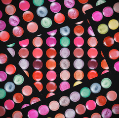 professional lipstick palette