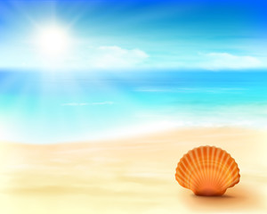 Shell on the beach. Vector Illustration.