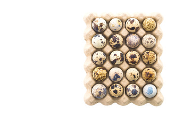 Quail eggs isolated
