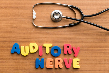 Auditory nerve