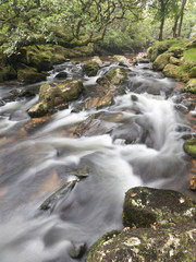 The River Plym Devon, Dartmoor, Endland. 