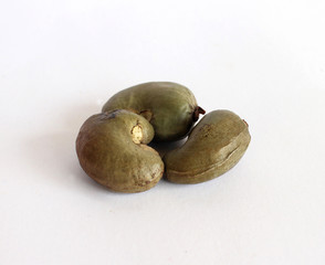 Cashew Nut