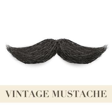 Realistic Black Vintage Curly Mustache