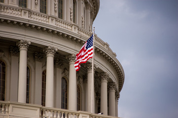 Capitol and Flag