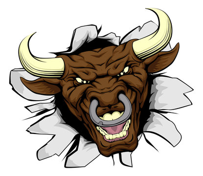 Bull mascot breakthrough