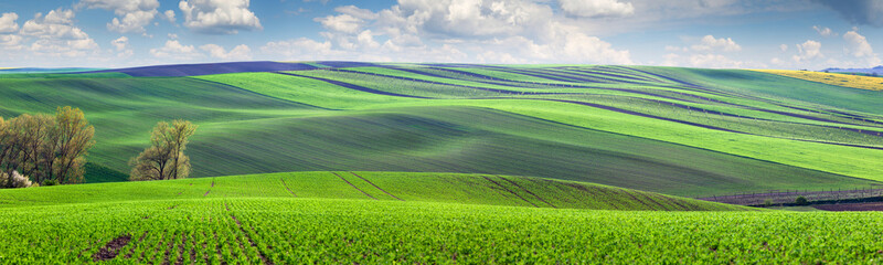 Wonderful panoramic view of fields in beautiful colorful valley