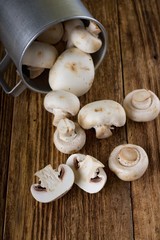 Several champignons spilled from aluminum cup