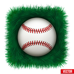 Icon Baseball ball in green grass. Vector Illustration