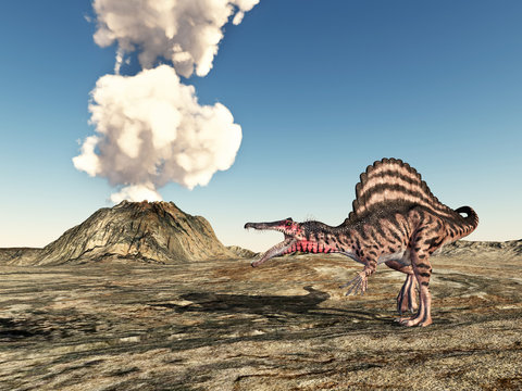 Dinosaur Spinosaurus and volcano