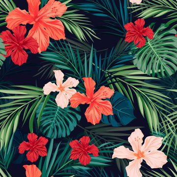 Tropical Background Images – Browse 7,872,708 Stock Photos, Vectors, and  Video