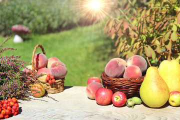 früchte aus eigenem garten