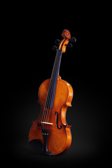 Violin isolated on black. Classical music instrument