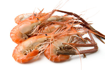 boiled river shrimp
