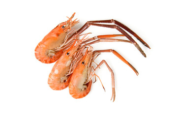 boiled river shrimp