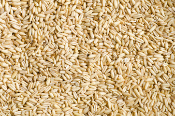 oat grains background